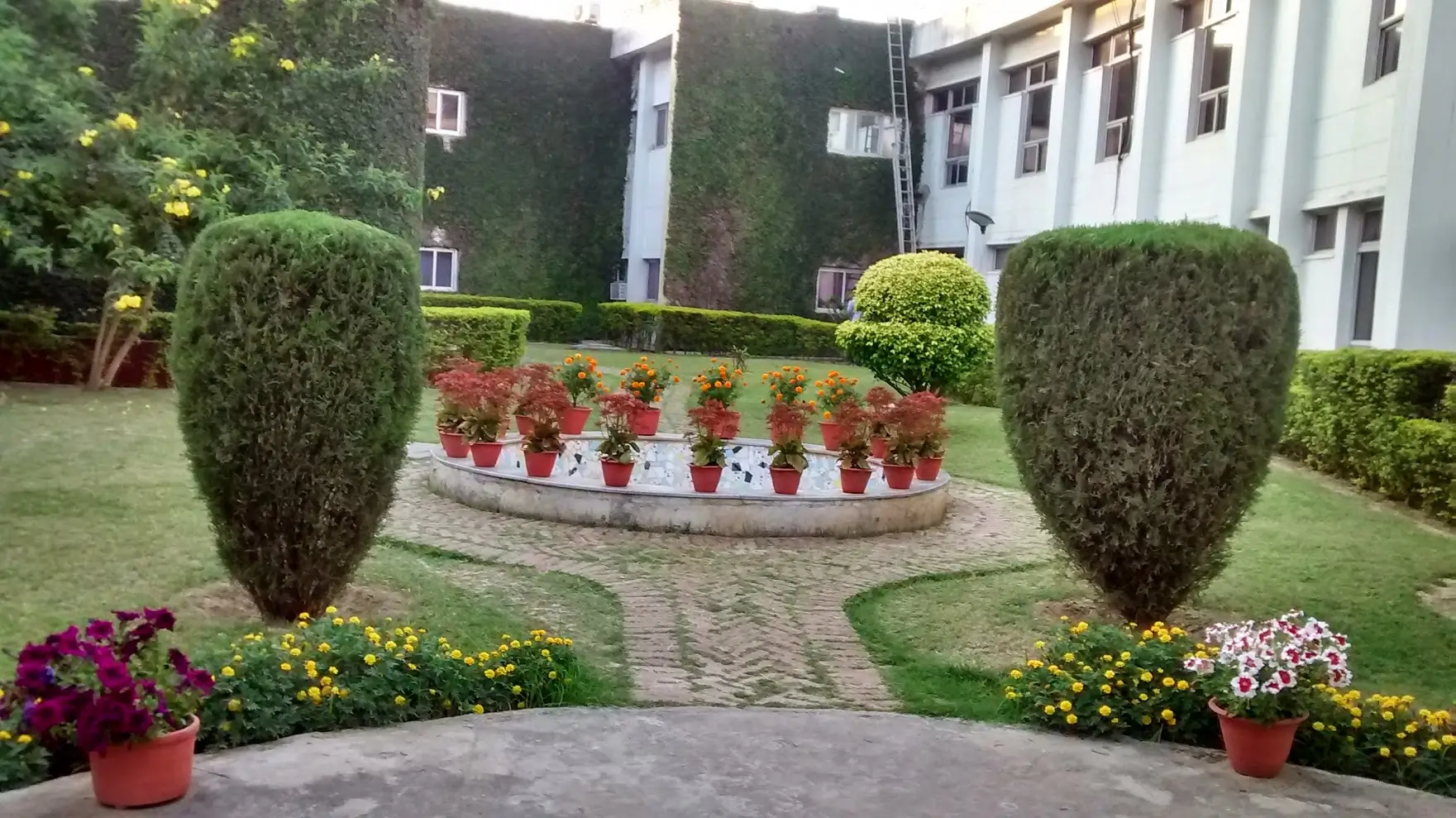 Harish-Chandra Research Institute